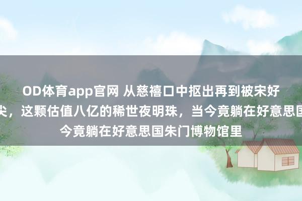 OD体育app官网 从慈禧口中抠出再到被宋好意思龄镶在鞋尖，这颗估值八亿的稀世夜明珠，当今竟躺在好意思国朱门博物馆里