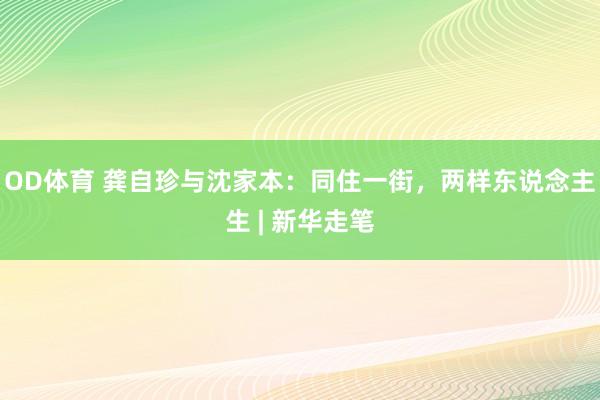 OD体育 龚自珍与沈家本：同住一街，两样东说念主生 | 新华走笔