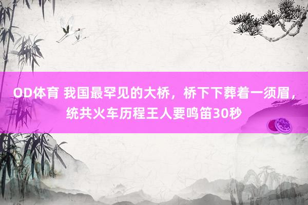 OD体育 我国最罕见的大桥，桥下下葬着一须眉，统共火车历程王人要鸣笛30秒