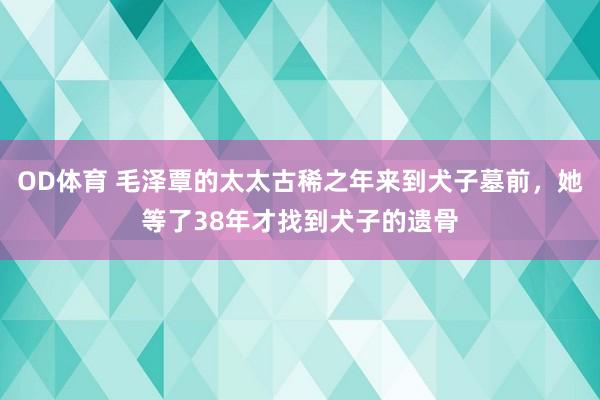 OD体育 毛泽覃的太太古稀之年来到犬子墓前，她等了38年才找到犬子的遗骨