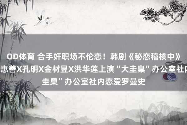 OD体育 合手奸职场不伦恋！韩剧《秘恋稽核中》6大看点：申惠善X孔明X金材昱X洪华莲上演“大圭臬”办公室社内恋爱罗曼史