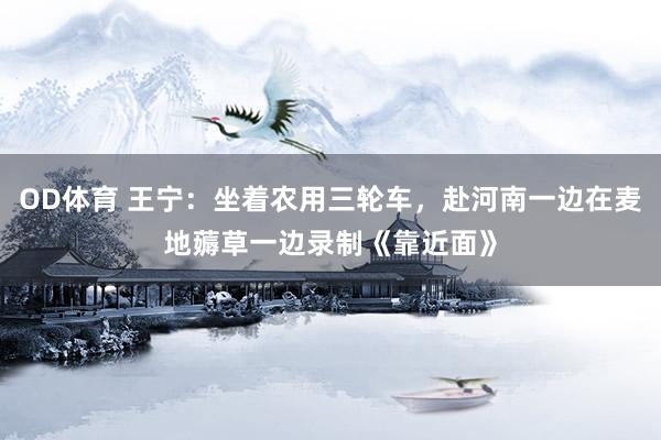 OD体育 王宁：坐着农用三轮车，赴河南一边在麦地薅草一边录制《靠近面》