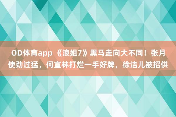 OD体育app 《浪姐7》黑马走向大不同！张月使劲过猛，何宣林打烂一手好牌，徐洁儿被招供