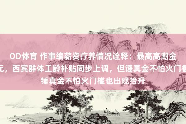 OD体育 作事编薪资疗养情况诠释：最高高潮金额达到700元，西宾群体工龄补贴同步上调，但锤真金不怕火门槛也出现抬升