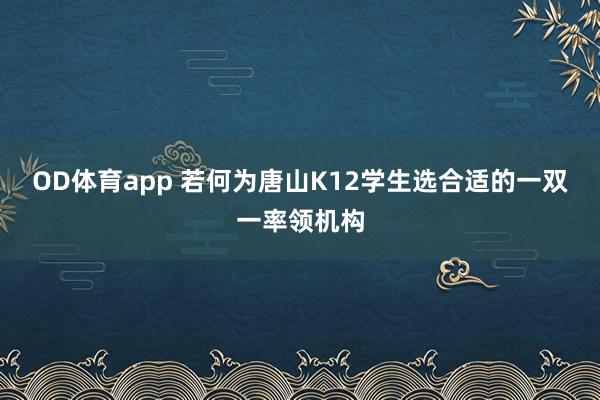 OD体育app 若何为唐山K12学生选合适的一双一率领机构