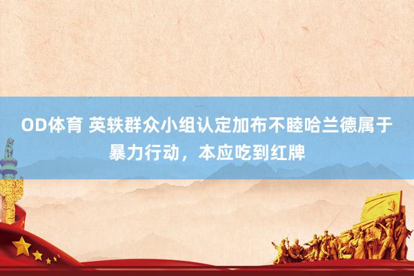 OD体育 英轶群众小组认定加布不睦哈兰德属于暴力行动，本应吃到红牌