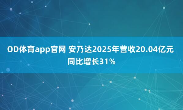 OD体育app官网 安乃达2025年营收20.04亿元 同比增长31%