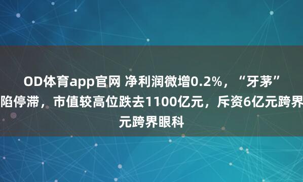 OD体育app官网 净利润微增0.2%，“牙茅”事迹陷停滞，市值较高位跌去1100亿元，斥资6亿元跨界眼科