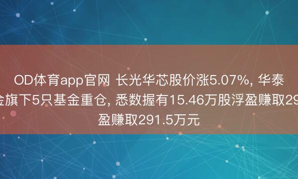OD体育app官网 长光华芯股价涨5.07%， 华泰柏瑞基金旗下5只基金重仓， 悉数握有15.46万股浮盈赚取291.5万元