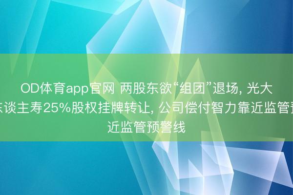 OD体育app官网 两股东欲“组团”退场, 光大永明东谈主寿25%股权挂牌转让, 公司偿付智力靠近监管预警线